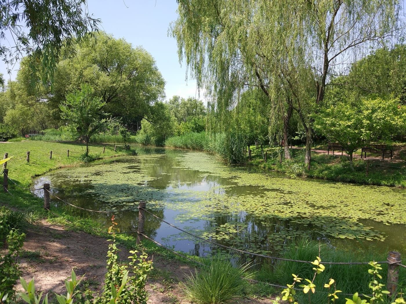 Olympic Forest Park is a practical reset when Beijing's sightseeing intensity gets too dense.