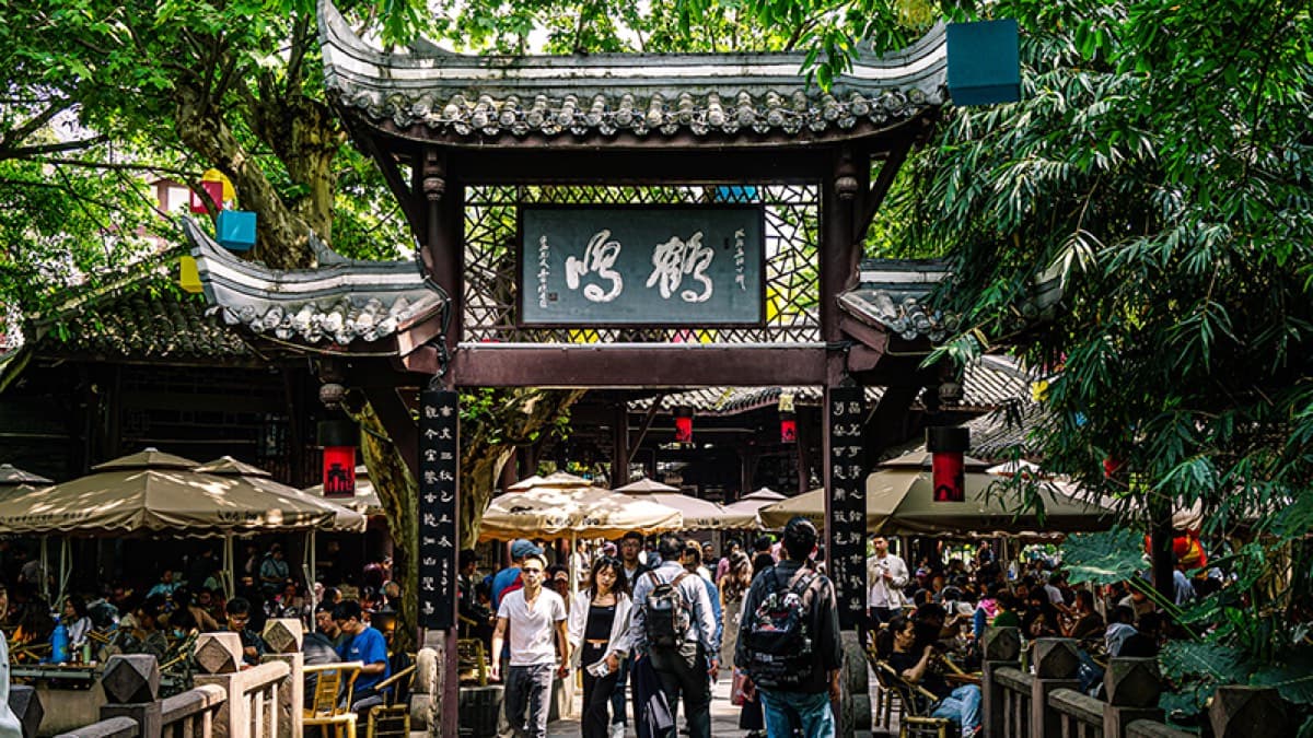 Chengdu Tea Houses Are the City's Living Room: Gaiwan Tea, Ear Cleaning and People's Park visual