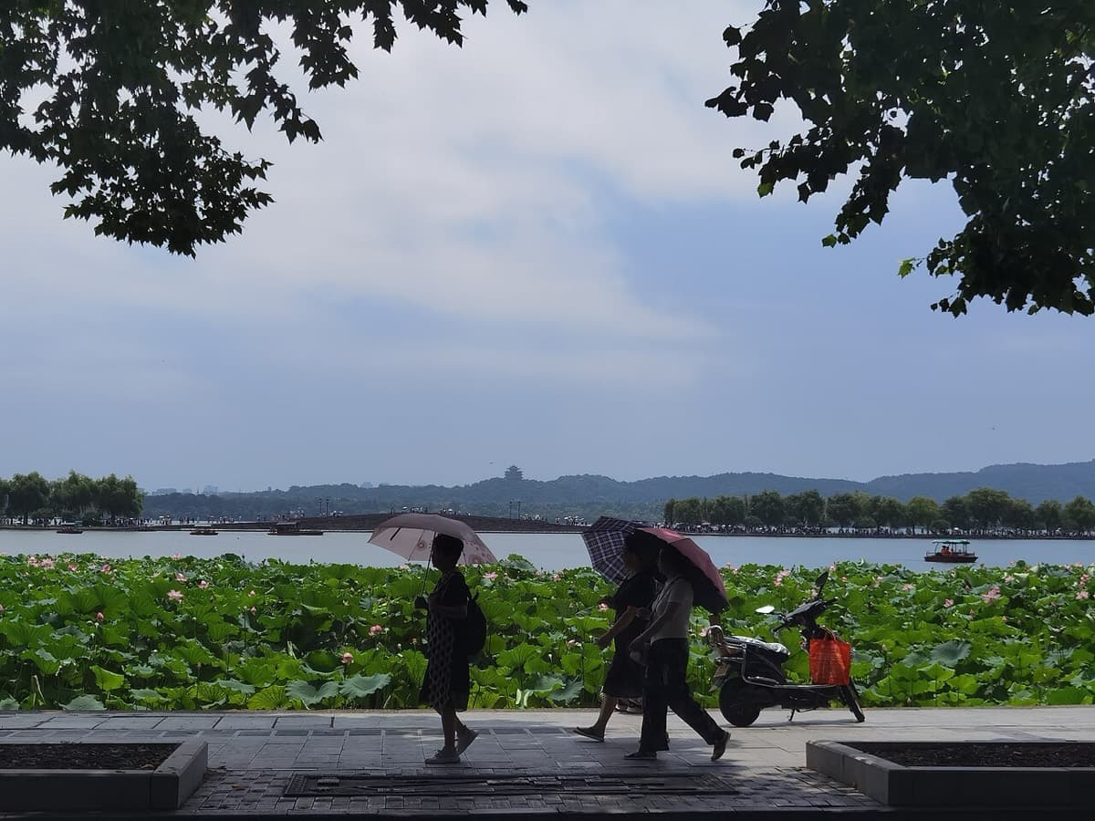 Beishan Road gives a more historic, leafy West Lake mood than the commercial Hubin side.