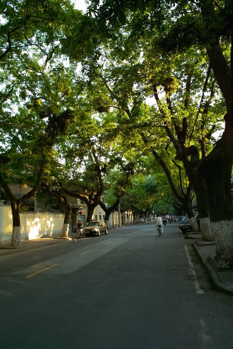 Yihe Road is one of the best places to feel Nanjing's villa-and-plane-tree atmosphere.