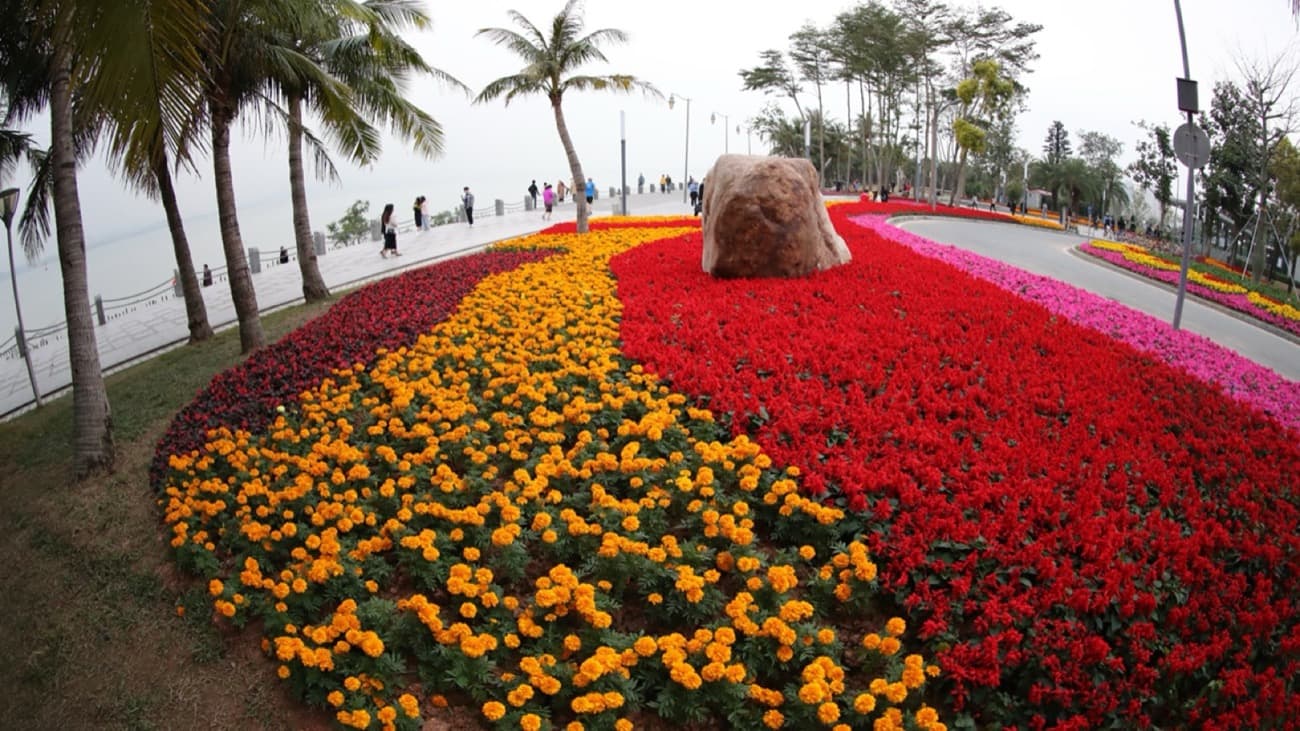 Cycling and walking paths make the bay feel like a route through Shenzhen's softer side.