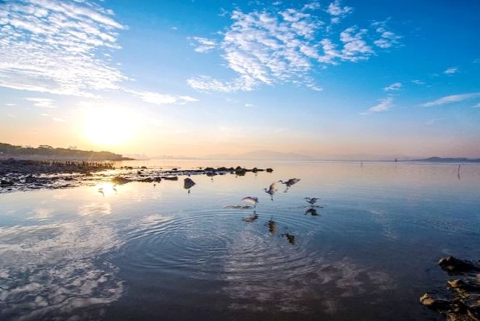 Shenzhen Bay Park Turns a Megacity Into a Coastline: Cycling, Mangroves and Hong Kong Views visual