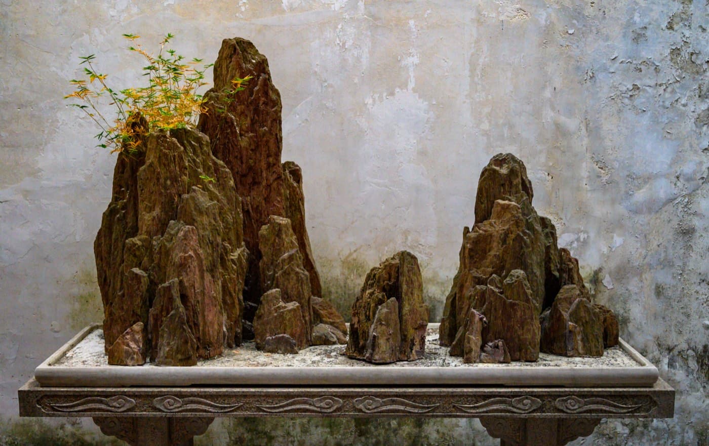 Water makes even a small garden feel deeper and more layered.