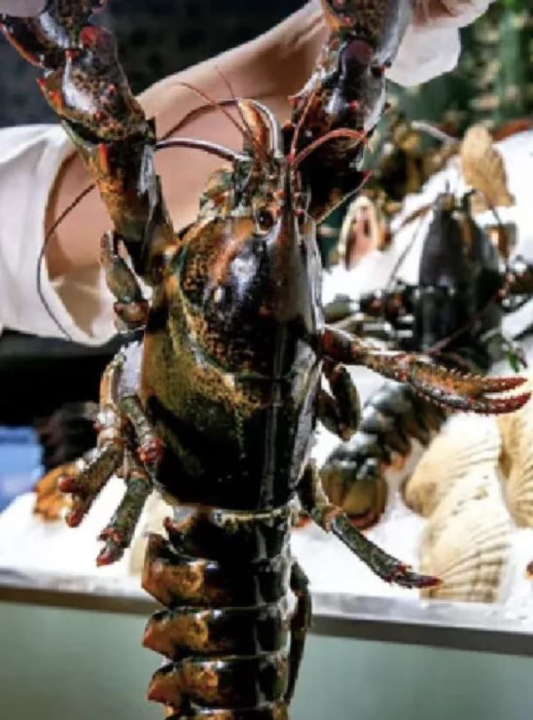 Fuhai's market energy makes seafood feel like a Shenzhen outing rather than just a restaurant meal.
