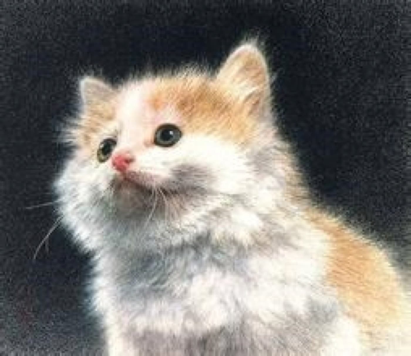 Realistic fur, eyes, and soft edges make Su Xiu especially easy for first-time viewers to appreciate.