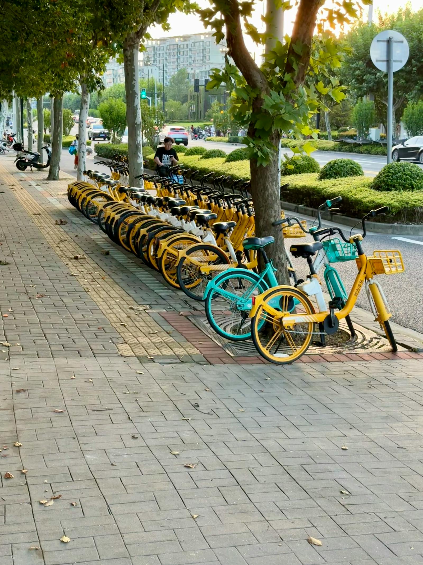 How to Use Shared Bikes in China